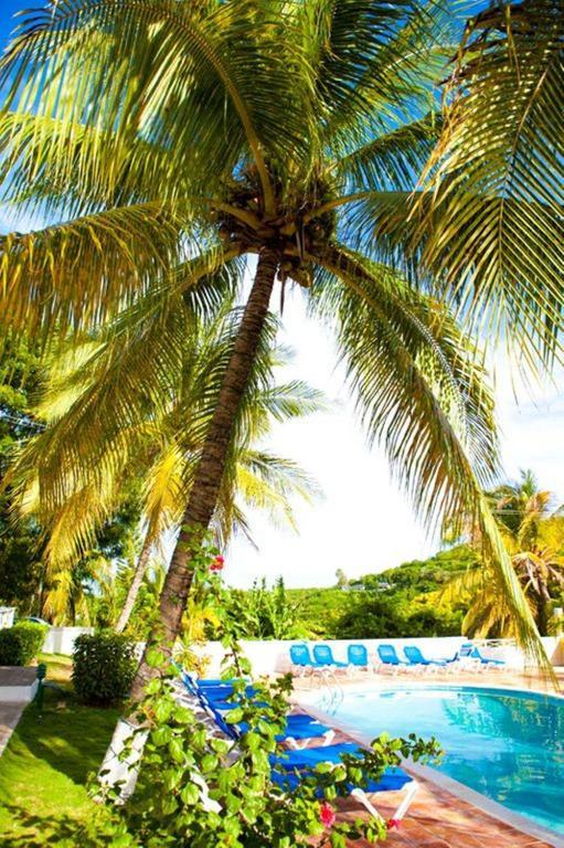 Dickenson Bay Cottages Cedar Grove Buitenkant foto